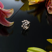 Sparkling Splendour_2028