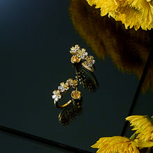 Fleur Splendor_0908