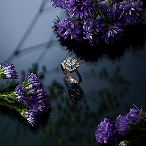 Sparkling Splendour_0601