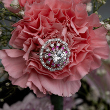 Sparkling Splendour_1816