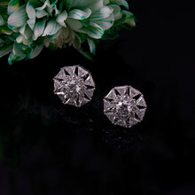 Fleur Splendor_0881