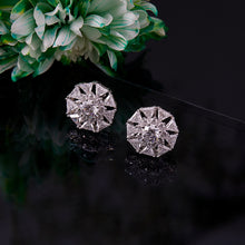 Fleur Splendor_0881