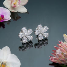 Fleur splendour_2319